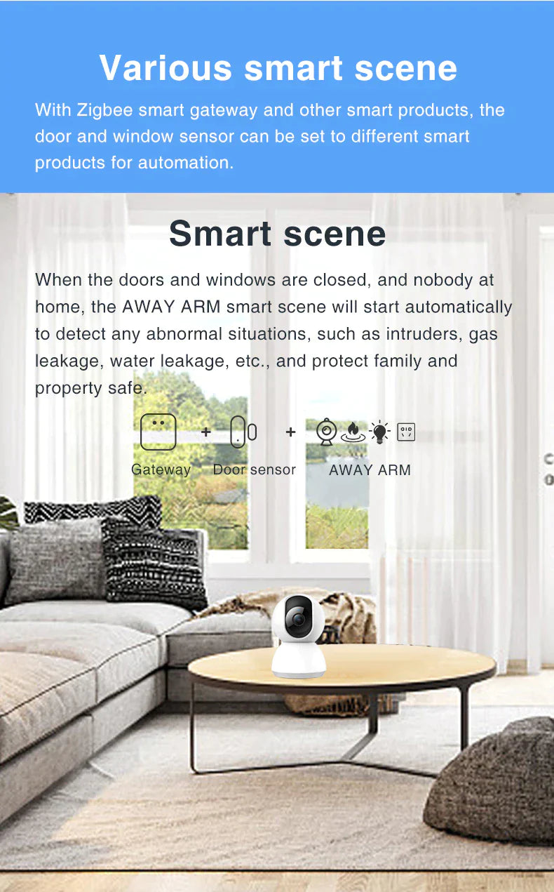 Smart Scene - Protection System